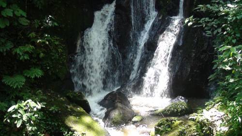 Buhoma Uganda Last-Minute-Rabattcode Booking.com