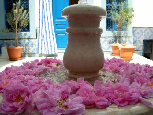 Sousse Tunisia Last Minute Discount Code Agoda.com