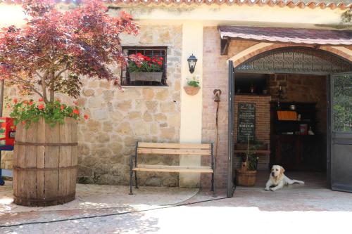 Centola Italy Last Minute Discount Code Agoda.com
