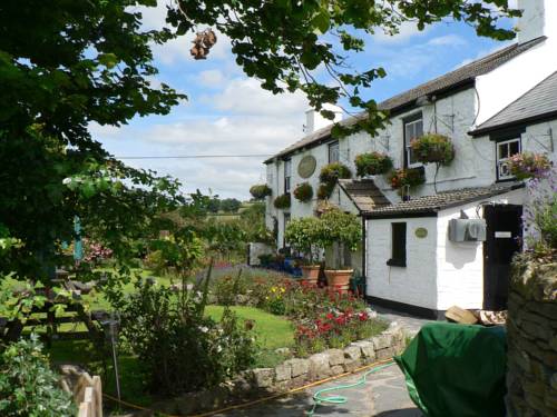 Marytavy. Tavistock United Kingdom Last Minute Discount Code Booking.com