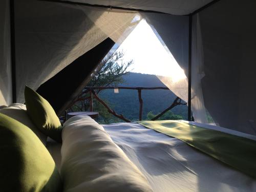 Ngorongoro Tanzania Last Minute Discount Code Agoda.com