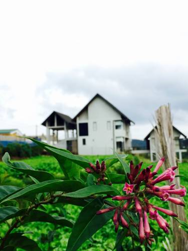 Nuwara Eliya Sri Lanka Último Minuto Código de Descuento Booking.com