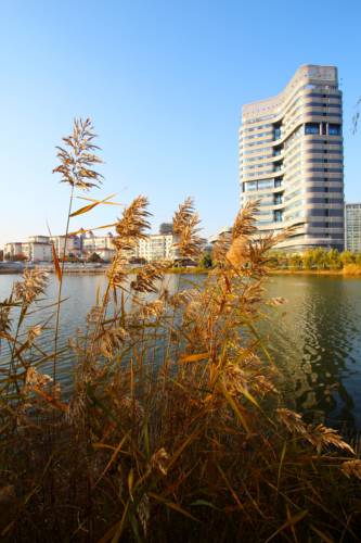Qingdao China Último Minuto Código de Descuento Booking.com