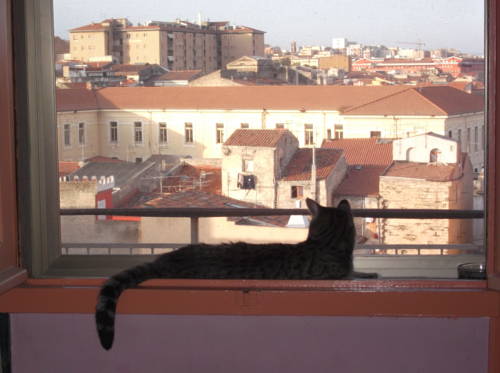 Sassari Italy Last Minute Discount Code Booking.com