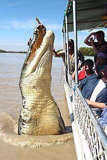 Darwin Australia Last Minute Discount Code Booking.com