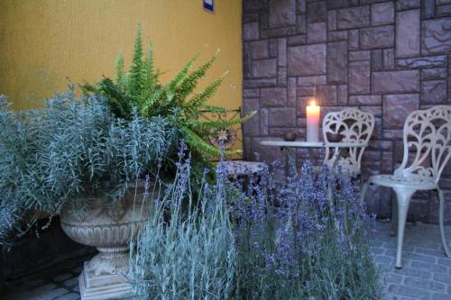 Lviv Ukraine Last Minute Discount Code Agoda.com