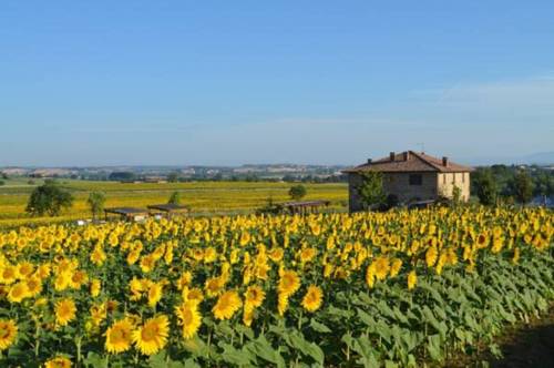 Panicale Italy Last Minute Discount Code Booking.com
