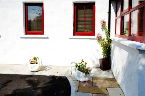 Camus Eighter Ireland Last Minute Discount Code Booking.com