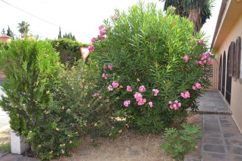 Mijas Spain Last Minute Discount Code Agoda.com