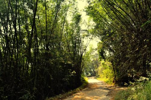 Calicut India Last Minute Discount Code Booking.com