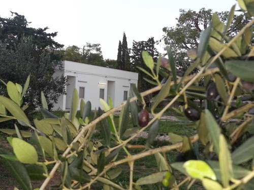Manduria Italy Last Minute Discount Code Booking.com