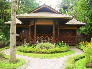 Manado Indonesia Last Minute Discount Code Agoda.com