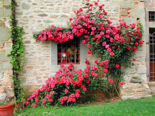 Pieve Fosciana Italy Last Minute Discount Code Booking.com
