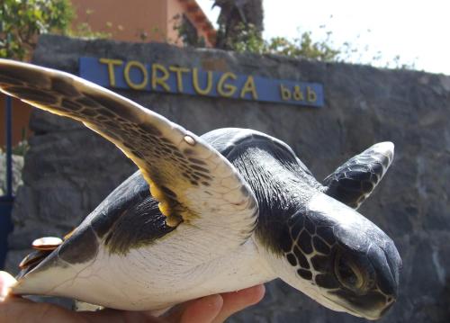 Sao Filipe Cape Verde Last Minute Discount Code Agoda.com