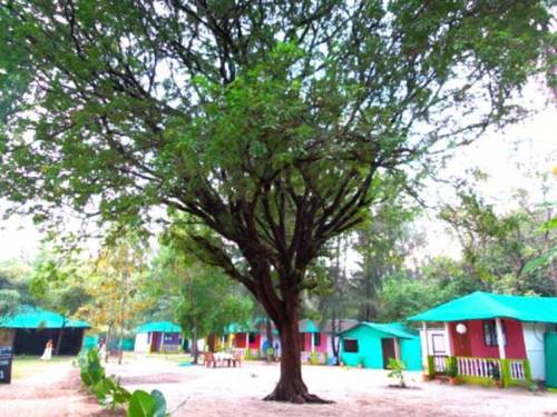 Palolem Indien Last-Minute-Rabattcode Booking.com