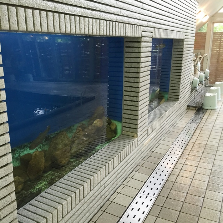 Katashina Japan Last Minute Discount Code Agoda.com