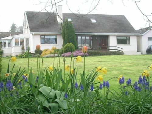 Ciudad de Wicklow Irlanda Último Minuto Código de Descuento Booking.com