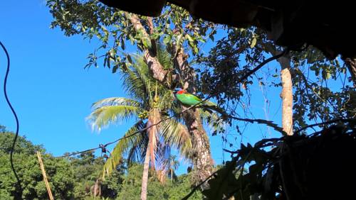 Ilhabela Brazil Last Minute Discount Code Booking.com