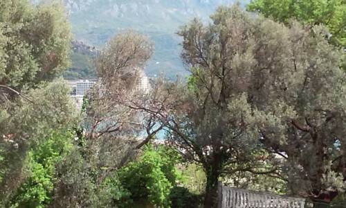 Bečići, Budva Montenegro Last-Minute-Rabattcode Booking.com