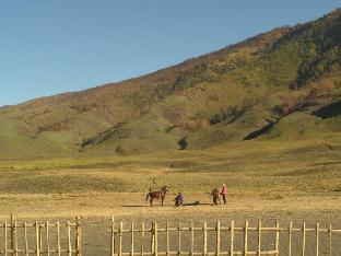 Bromo Indonesia Last Minute Discount Code Agoda.com