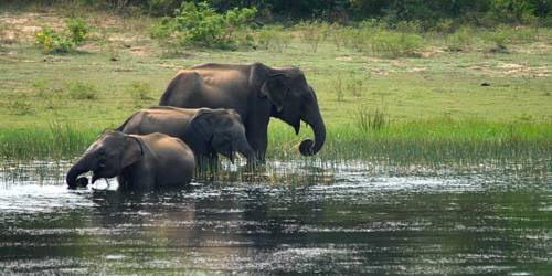 Tangalle Sri Lanka Last Minute Discount Code Booking.com