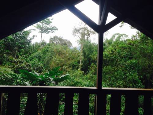 Mindo Ecuador Last-Minute-Rabattcode Booking.com