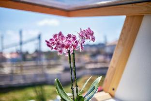 Bratislava Slovakia Last Minute Discount Code Agoda.com