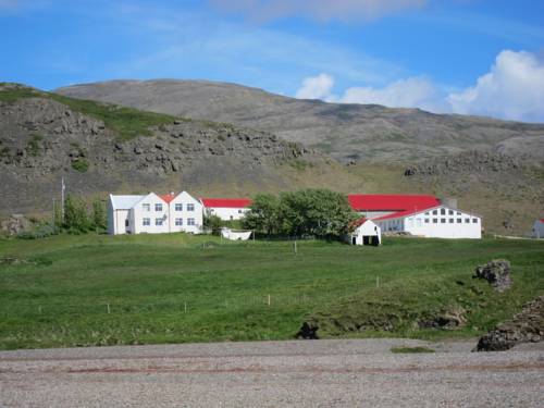 Höfn Iceland Last Minute Discount Code Booking.com