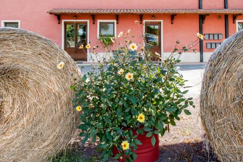 Guidonia Montecelio Italien Last-Minute-Rabattcode Booking.com