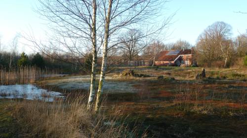 Muschel Niederlande Last-Minute-Rabattcode Booking.com