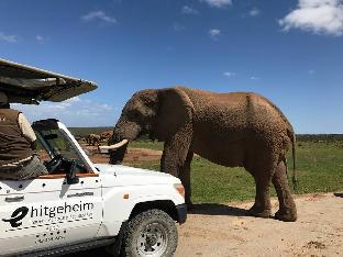 Kirkwood South Africa Last Minute Discount Code Agoda.com