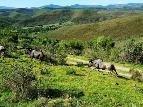 Hankey South Africa Last Minute Discount Code Booking.com