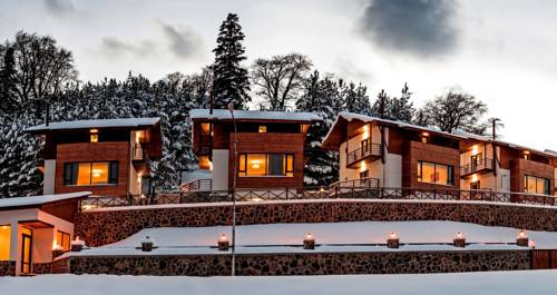 Bakuriani Georgia Last Minute Discount Code Booking.com