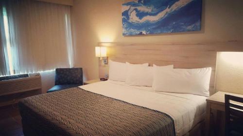 Maleza Baja Puerto Rico Last Minute Discount Code Agoda.com