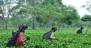 Jalpaiguri India Last Minute Discount Code Agoda.com