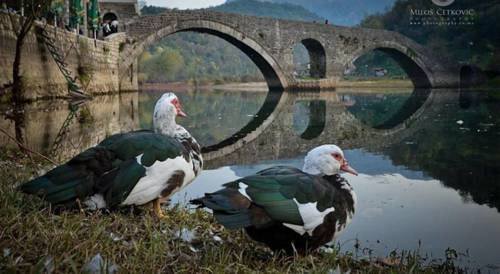 Cetinje Montenegro Last Minute Discount Code Booking.com