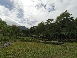 Bogor Indonesia Last Minute Discount Code Agoda.com