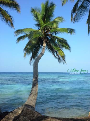 Dhidhdhoo Maldives Last Minute Discount Code Booking.com
