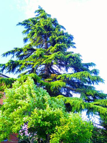 Tagliolo Monferrato Italien Last-Minute-Rabattcode Booking.com