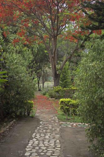 Ooty India Last Minute Discount Code Agoda.com