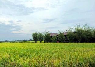Sabak Bernam Malaysia Last Minute Discount Code Agoda.com
