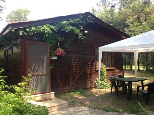 Çamlı Turkey Last Minute Discount Code Agoda.com