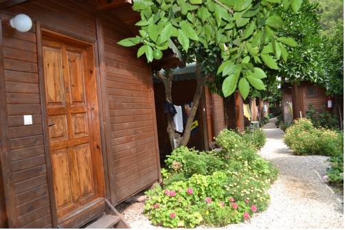 Olympos Türkei Last-Minute-Rabattcode Booking.com