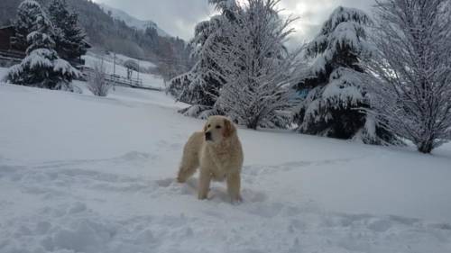 Bormio Italien Last-Minute-Rabattcode Booking.com
