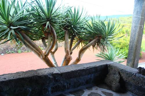 Madalena Portugal Last-Minute-Rabattcode Booking.com