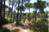 Aznalcazar Spanien Last-Minute-Rabattcode Booking.com