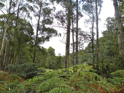 Huonville Australia Last Minute Discount Code Booking.com