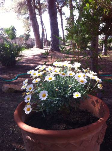 Porto Cesareo Italy Last Minute Discount Code Booking.com