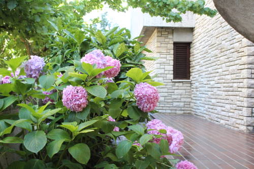 Zadar Croatie Code de réduction de dernière minute Booking.com