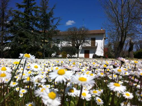 Mondavio Italy Last Minute Discount Code Booking.com